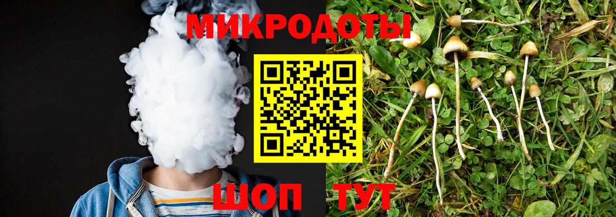 Галлюциногенные грибы Psilocybe Шадринск